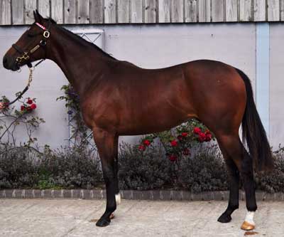 book 1 lot 498
